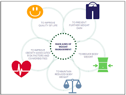 Image result for Obesity Management