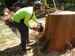 Our goal is to ensure your trees look beautiful. Atlantic Tree Services Of Charlotte Nc