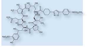 Image result for Micafungin