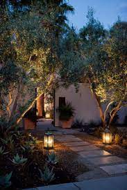 These Are The Two Olive Trees And Two Lampstands That Stand Before The Lord On Earth Revelations 1 Backyard Lighting Landscape Design Garden Lighting Design