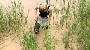 Wait till the end for a lovley muddy face as she keep jumping in Jean Pierre Dumais Auf Twitter Girlsinwaders Waders Hipboots Mud Flooded Wetwednesday Wetting Wet Waderswednesday