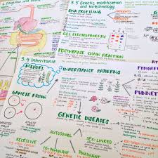 This video has a handout here: 23 Genetics Ideas Genetics Biology Lessons Biology Classroom