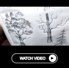 Trees Drawing For Kids Different Types Basic Trees Drawing Pencil Drawing Tutorial Realistic Flower Drawing Tree Drawings Pencil Pencil Drawing Tutorials