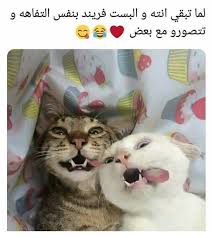 Pin On تسالي فرفشه ضحك فكاهة مسخرة فله ألش تحشيش فرفشه اﻻبتسامات نكت وناسه هبل جنان طرائف كوميدي قفشات Hilarious Funny Lol Nokat Comics Gags Du