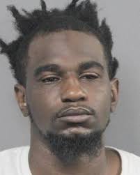 Harvey man pleads guilty to killing ex-girlfriend's mother