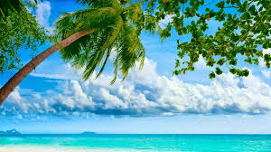 Find the best full hd nature wallpapers on getwallpapers. Free Download Hd Size Nature Wallpapers Downloads Full Hd Nature Wallpapers 1600x900 For Your Desktop Mobile Tablet Explore 50 Hd Nature Wallpapers Free Download Beautiful Nature Wallpapers Free Laptop