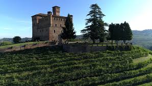 Il castello di grinzane cavour è un'imponente fortificazione situata a grinzane cavour in provincia di cuneo. The Castello Vineyard In Grinzane Cavour Arnaldorivera