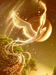 Fantasy For The Eye To Behold Phoenix Art Phoenix Images Art