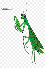 Its the body of a female praying mantis even though he's a male character, and no one can tell me its a movie, its just a character shush, this is my. Praying Mantis Png Images Pngwing