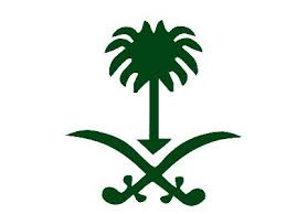 Saudi Symbol Lily Flower Seeds Bonsai Flower Lily Flower