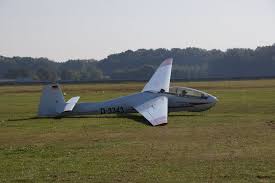 Stork, especially a member of the genus ciconia. Bocian Fliegerclub Kamenz E V