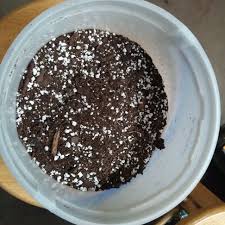 Step 2 Mix Potting Soil With Perlite And Add To Terrarium Terrarium Diy Potting Soil Terrarium