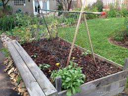 Eventually, your zucchini plant will know what to. Choose The Right Trellis For Your Climbing Vegetables Tenth Acre Farm