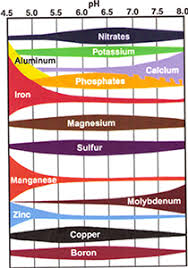 ro water ph adjusting ph in water nutrients in water