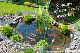 Tipps die helfen, um vorbeugend gegen die algenbildung von schwebealgen, fadenalgen, blaualgen, braunalgen, goldalgen, kieselalgen, rotalgen im gartenteich, schwimmteich. Teichwasser Schaumt 5 Losungen Gegen Schaum Auf Dem Teich