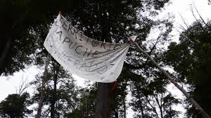 Resultado de imagen para mapuches lago mascardi fotos