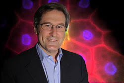 生命科學突破獎- 維基百科，自由的百科全書