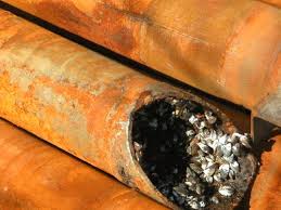 In 1492, christopher columbus convinced the spanish monarchs ferdinand and isabella to support his attempt to reach asia by sailing west. Ncpedia Ncpedia