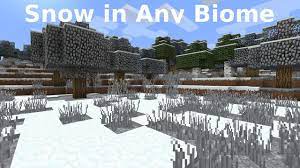 By writing custom biome data you could: How To Cover Any Minecraft Biome In Snow Youtube