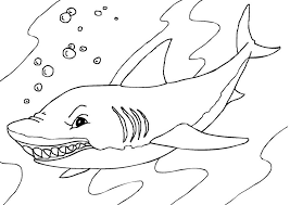 By best coloring pagesaugust 12th 2013. Free Printable Shark Coloring Pages For Kids