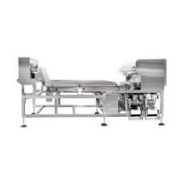 ABS Flakes Color Sorter PP/PE/Pet/PVC Waste Mixed Plastic Sorting Machine