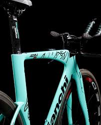 Its creator, eduardo bianchi, was one of the first creators of a safe bicycle eduardo bianchi decided to use such a color in honor of the beautiful eyes of the queen of italy, margarita. Road Bianchi