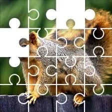 Puzzle sizes from 6 to 247 pieces. Trough Stride Money Transfer The Jigzone Panama Decouverte Com