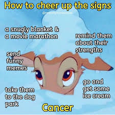 Curious about the caring cancer sign in your life? Pin By Kaiaceline On Cancerian Memes Zodiac Signs Cancer Cancer Zodiac Zodiac Sign Traits