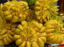 See exotic fruits stock video clips. 77 Weird Exotic Fruits You Didn T Know Existed