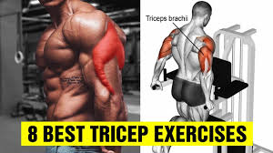 8 best tricep exercises for bigger arms