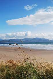 Pin By Maysie Czech On Places I Ve Been Ireland Landscape Irish Beach Ireland Vacation