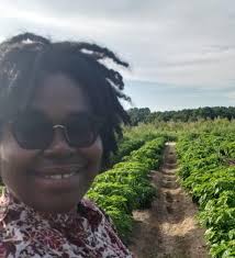 Pick-Your-Own Consultants