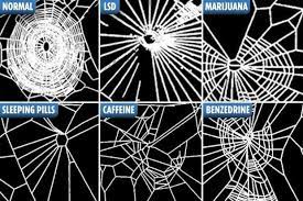 We did not find results for: Nasa Gave Spiders Drugs How Their Webs Changed When High On Weed Lsd And Caffeine
