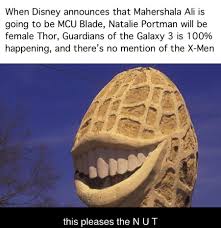 Please Stop My Penis Can Only Get So Erect Memes