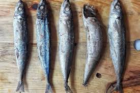 Quality characteristics of redtail scad (decapterus kurroides. 5 Resep Kreasi Ikan Cue Keranjang Nikmatnya Bikin Ketagihan