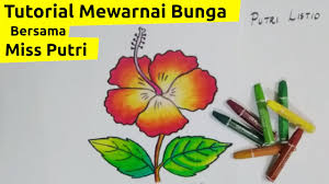 Mewarnai gambar sepasang sepatu aneka mewarnai gambar. 39 Gambar Mewarnai Bunga Sepatu Pictures Phone Tips