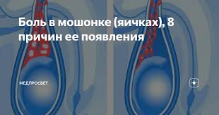 как удалить серную пробку в ухе в домашних условиях I Pinimg Com Originals B7 64 0f B7640f26446cf49