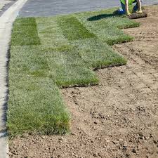 We install dfw zoysia lawns. Achieve A Gorgeous Green Lawn Learn How To Lay Sod The Right Way Sod Installation Zoysia Sod Sod Grass