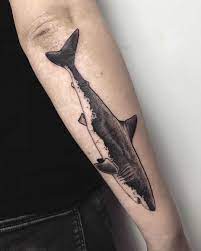 Shark On A Forearm By Tattooist Spence Zz Tattoo Inked On The Right Forearm Shark Tattoos Tattoos Bug Tattoo