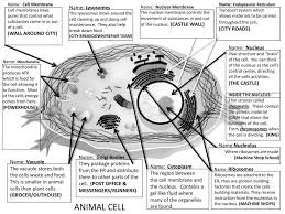 It separates the fluid inside the nucleus of a cell from the material outside. Animal Cell Name Lysosomes City Roads Wall Around City Ppt Download