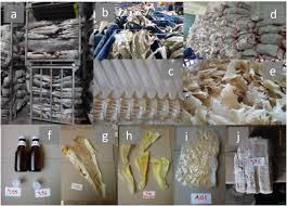 Disentangling The Shark And Ray Trade In Indonesia To Reconcile Conservation With Food Security Biorxiv