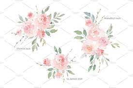 Blush pink watercolor flowers png. Pink Blush Watercolor Flowers Roses Watercolor Flowers Blush Watercolor Flower Clipart
