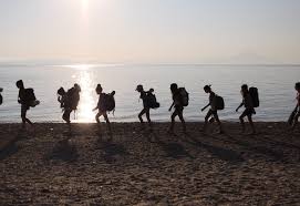 Αμέσως σήμανε συναγερμός και εφαρμόστηκαν όλα τα πρωτόκολλα για την ασφάλεια των εργαζομένων και των κατασκηνωτών. Xalkidikh Ay3anontai Ta Kroysmata Sthn Paidikh Kataskhnwsh Akoma E3i Paidia 8etika Grtimes Gr