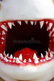 White Bird With Big Mouth Big Mouth Model Shark Mouth Closeup Front Teeth Are Sharp Spon Model Shark Big Mouth Teeth Ad Big Mouth Shark Mouth Mouth