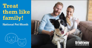 It might be 50% or could be 100% of the total. Brightway Insurance The Pihl Agency Celebrate Nationalpetmonth By Protecting Your Furry Friends With Pet Insurance Want To Know More About Coverage For Your Pets Contact Us Today At 19042622886 To