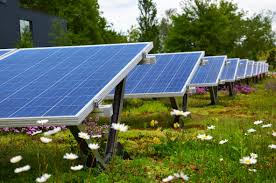 Contec Greenlight Dachflache Nutzen Strom Fur Den Eigenverbrauch Und Gleichzeitig Eine Grune Flache Photovoltaik Eigenverbrauch Dachbegrunung Dachflache