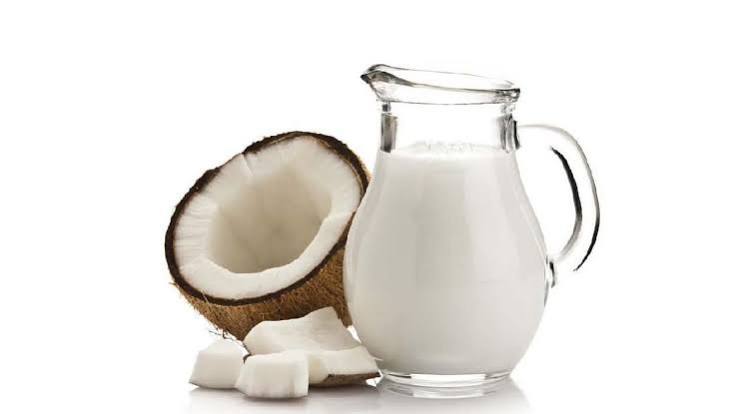 Santan Kelapa
