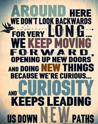 Never Give Up Wisdom Quotes Life Quotes Disney Describe Yourself Quotes