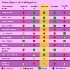 What You Must Know About Hepatitis Universal Science