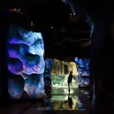 Pin On Aquatis Aquarium